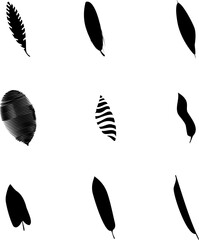 Set of black doodle silhouettes of tropical leaves palm, trees. Vector illustration