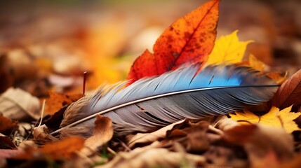 A feather nestled among autumn leaves, blending in with nature's palette.