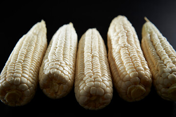 close up of corn