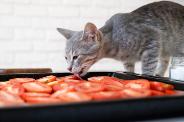 pet allergy. small kitten licking salt from tomato