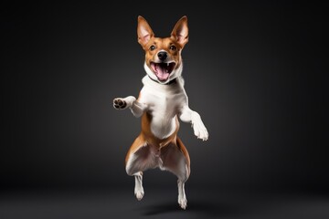 Photo of an energetic Basenji dog in a playful stance on a spotless white background. Generative AI