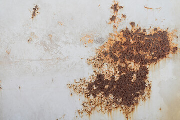 Grunge texture background. corroded metal rusty wall plate. selective focus