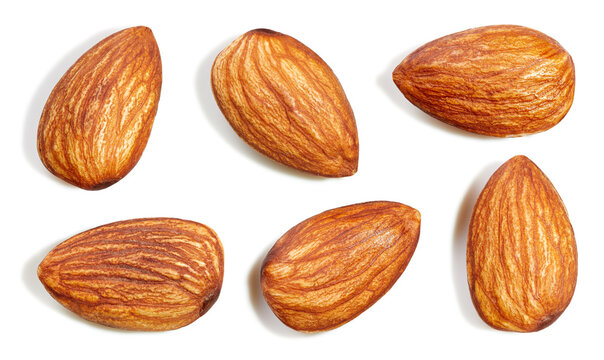 Fresh organic almond isolated