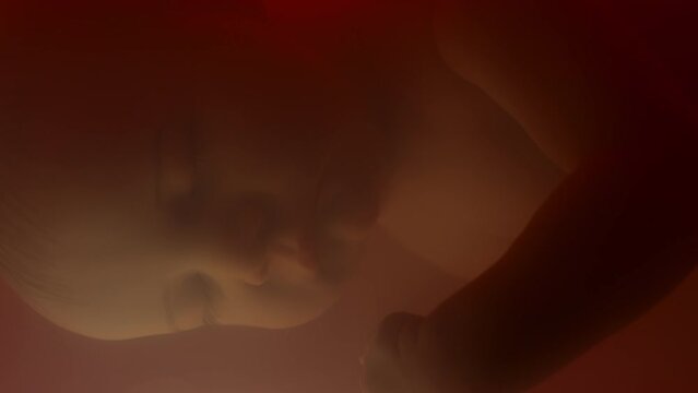 Macro closeup of sleeping unborn baby floating in glowing red amniotic fluid inside uterus