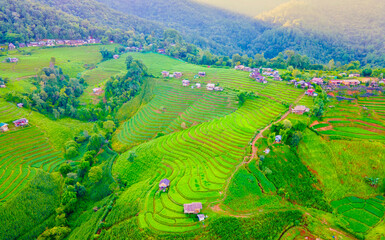 Terraced Rice Field in Chiangmai, Thailand, Pa Pong Piang rice terraces, green rice paddy fields during rain season. Small homestay farms in the mountains of Thailand