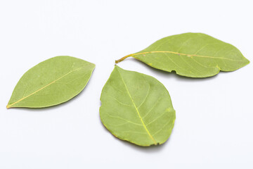 Trzy liście laurowe suszone leżą na białym tle