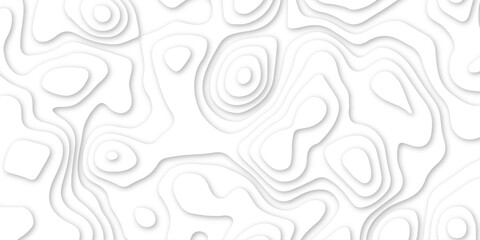 Fototapeta premium Abstract White background topology, topography illustration vector design .Abstract realistic papercut decoration textured with wavy layers and other pattern designs .