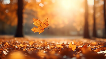 leaf fall in the autumn park in the sunlight, dry yellow leaves fly in the landscape of warm October