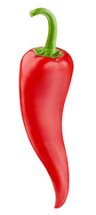 Chili pepper isolated on white background