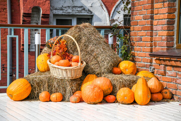 Pumpkins and gourds in a basket