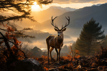Majestic Wildlife Amidst a Serene Forest Landscape at Sunset. Majestic deer in natural wilderness at sunset.