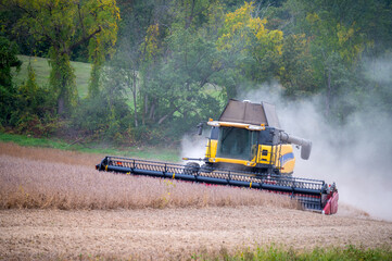 Fototapeta premium Combine harvester harvesting soy bean crop