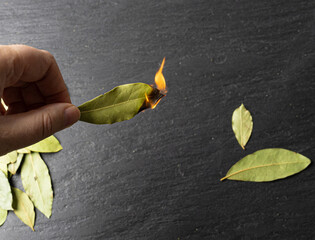 Dry Bay Leaves, Laurel Leaf, Natural Spicy Bayleaf, Fragrant Ingredient, Aromatic Spice