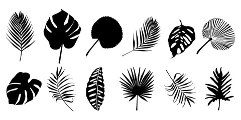 Tropical leaf silhouette elements set isolated on white background. Palm, fan palm, monstera, banana leaves. Vector illustration in black and white colors
