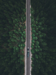 Aerial view of the locomotive traveling on the railway through the forest in autumn, shot by drone...