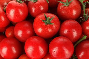 Many fresh ripe cherry tomatoes with water drops as background, top view