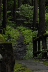 A mountain trail leading deep into the mountains