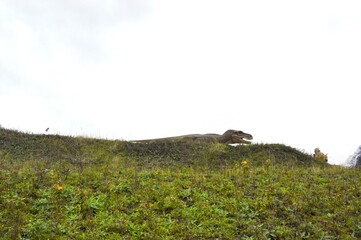 Russia, Tula region, Petropavlovsk village, Dinopark
