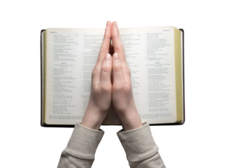woman hands on bible. she is reading and praying over bible