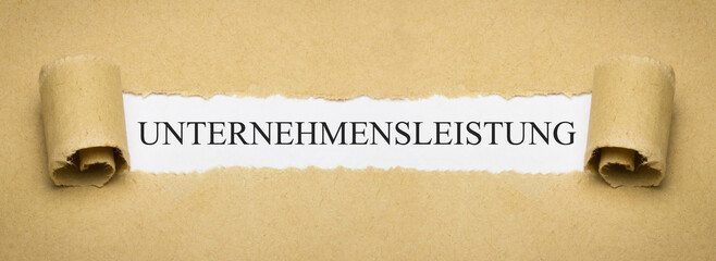 Unternehmensleistung