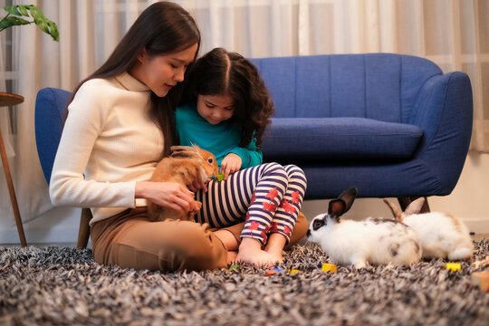 Latin daughter sitting on mother lap playing with brown rabbit together. Family activity with pet.
