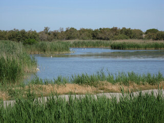Landscape of a little lake