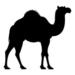 Silhouette Illustration of Camel. Vector SVG