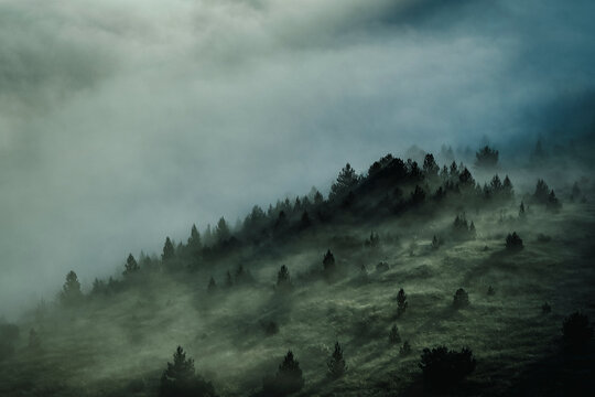 Fototapeta Aerial view of foggy forest during morning mist in Bosnia and Herzegovina.
