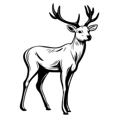 Fototapeta premium Simple Hand Drawn Illustration of Deer with Outline Style. SVG Vector