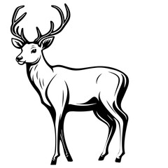 Simple Hand Drawn Illustration of Deer with Outline Style. SVG Vector