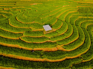 sunset in the mountains with green Terraced Rice Field in Chiangmai, Thailand