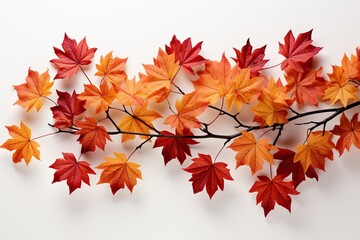 autumn leaves background