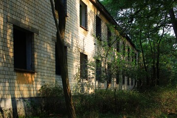 Abandoned apartment block in dense forest with sunlight