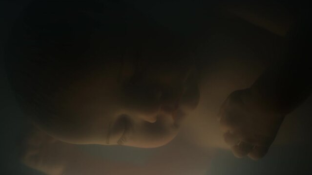 Macro closeup of lab growing fetus sleeping in horizontal position moving hand in artificial womb