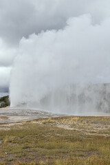 Huge steam clouds and mist above Old Faithful during an eruption in the Yellowstone National park