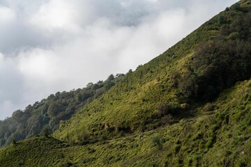 Fototapeta premium a couple of sheep standing in the grass on the side of a mountain
