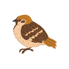 Wintering bird wildlife