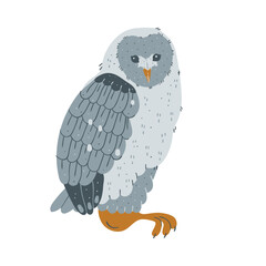 Wintering bird wildlife