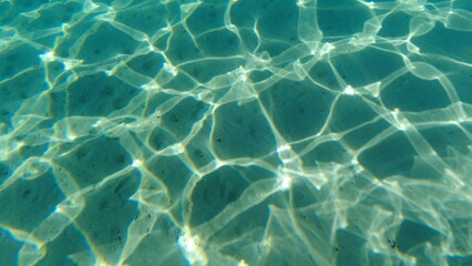 Underwater world on Crete in October 2023