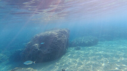 Underwater world on Crete in October 2023