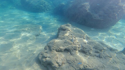 Underwater world on Crete in October 2023