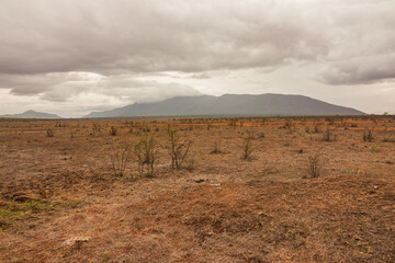 Savannah grassland landscapes with acacia trees and mountains in Tsavo East National Park, Kenya