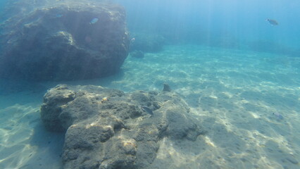 Underwater world on Crete in October 2023