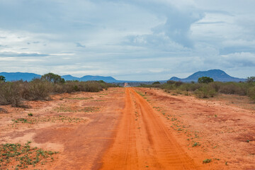 A dirt road in the wild at Tsavo East National Park, Kenya