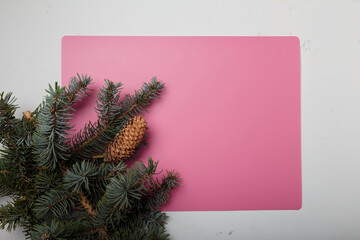 Blue fir tree branch with big cone on pink and white background. Merry Christmas blank card,...