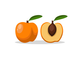 Whole and cut in half beautiful apricot or peach or nectarine with shadow on white background