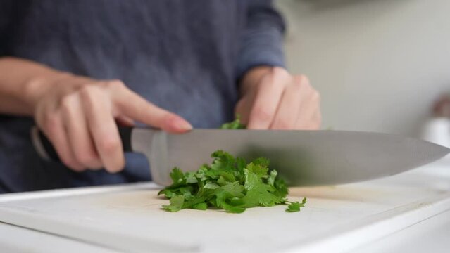 Chopped spice cilantro