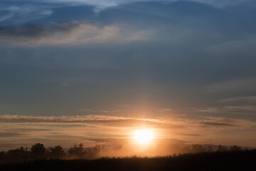 Obraz premium Grass and trees silhouettes on horizon against the setting sun
