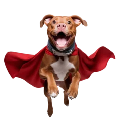 Poster Superhero dog wearing red cape © Natural PNG