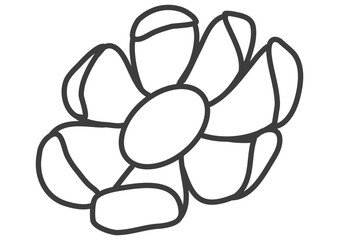 illustration of a flower